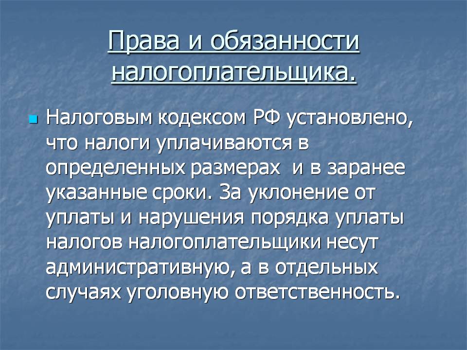 Права и обязанности налогоплательщика презентация 11 класс