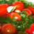 Как солить помидоры в банку и бочку, на зиму - правильно засаливаем красные и зелёные томаты