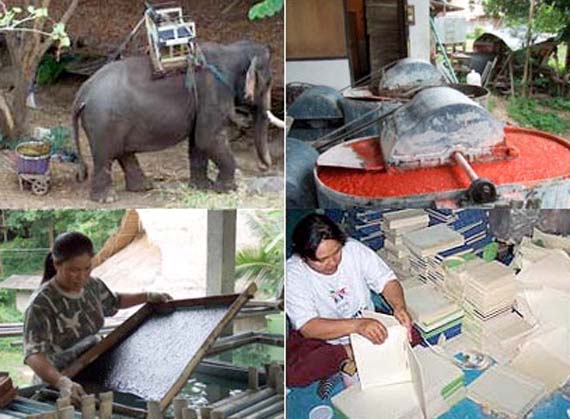 Приготовление бумаги из экскрементов слонов